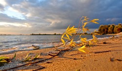 Если ты отпустишь мысли (СИ) — Мамуени Эмма