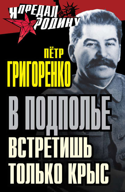 В подполье встретишь только крыс - Петр Григоренко