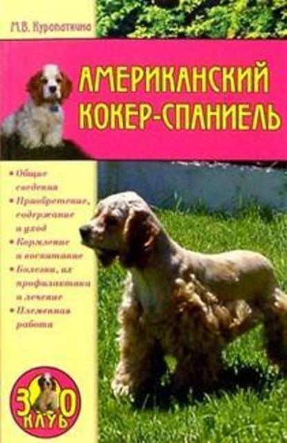 Американский кокер-спаниель — Марина Куропаткина