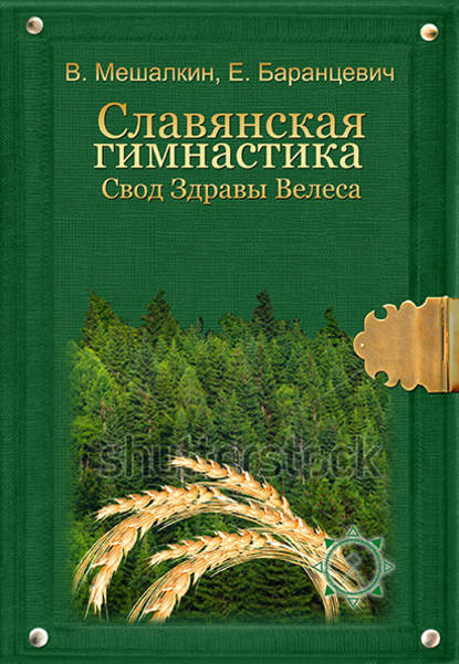 Славянская гимнастика. Свод Здравы Велеса - Владислав Мешалкин