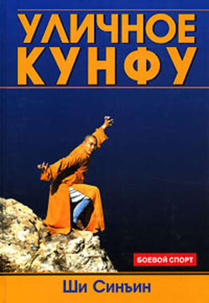 Уличное кунфу — Ши Синъин