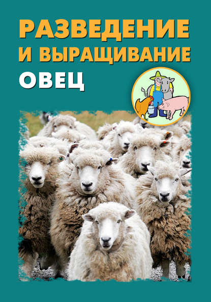 Разведение и выращивание овец - Илья Мельников