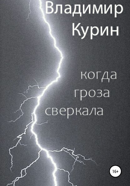 Когда гроза сверкала — Владимир Сергеевич Курин