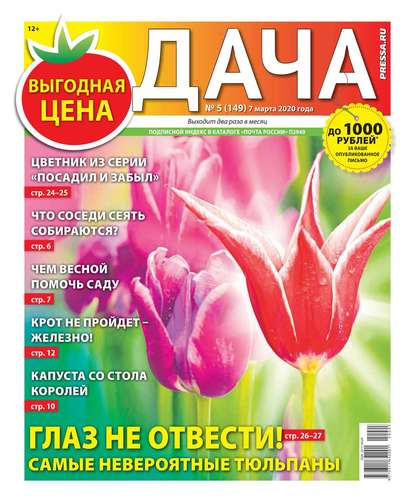 Дача Pressa.ru 05-2020 - Редакция газеты Дача Pressa.ru