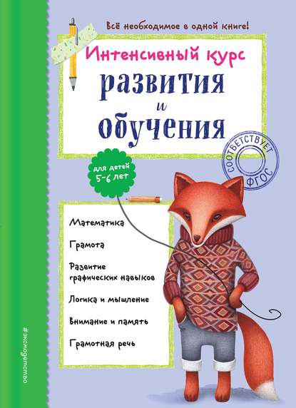 Интенсивный курс развития и обучения для детей 5-6 лет — А. В. Волох