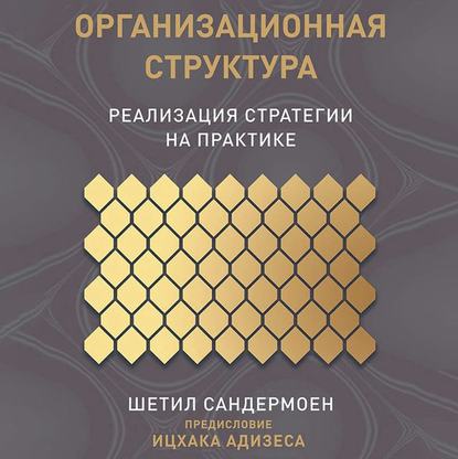 Организационная структура - Шетил Сандермоен