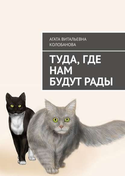 Туда, где нам будут рады - Агата Витальевна Колобанова