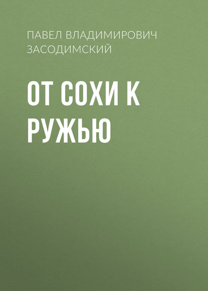 От сохи к ружью - Павел Владимирович Засодимский