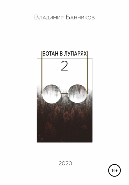 Ботан в лупарях – 2 - Владимир Александрович Банников