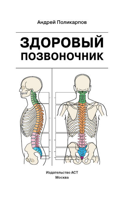 Здоровый позвоночник — Андрей Поликарпов