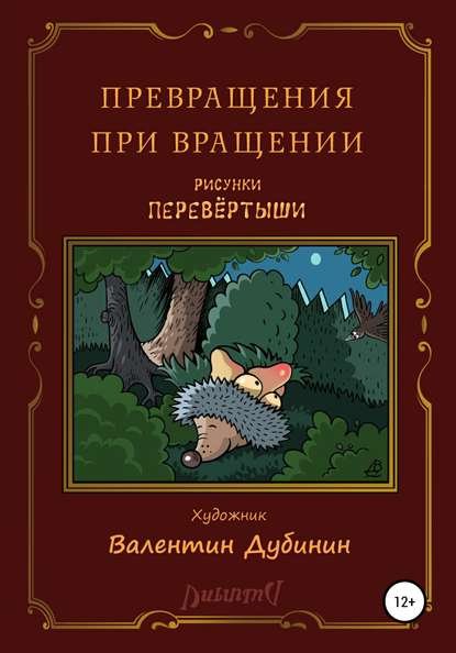 Превращения при вращении — Валентин Дубинин Дубинин