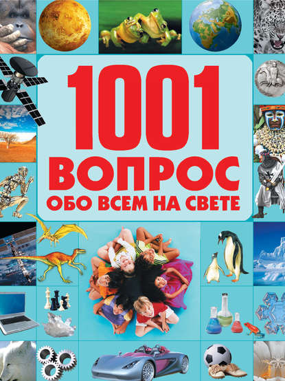 1001 вопрос обо всем на свете - Т. Л. Шереметьева