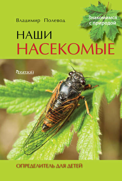 Наши насекомые. Определитель для детей - Владимир Полевод