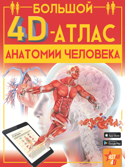 Большой 4D-атлас анатомии человека - А. А. Спектор