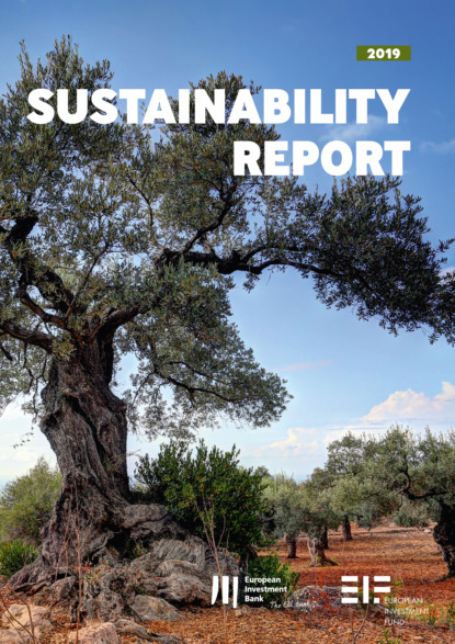 European Investment Bank Group Sustainability Report 2019 - Группа авторов