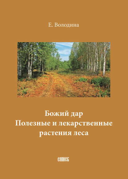 Божий дар. Полезные и лекарственные растения леса — Е. М. Володина