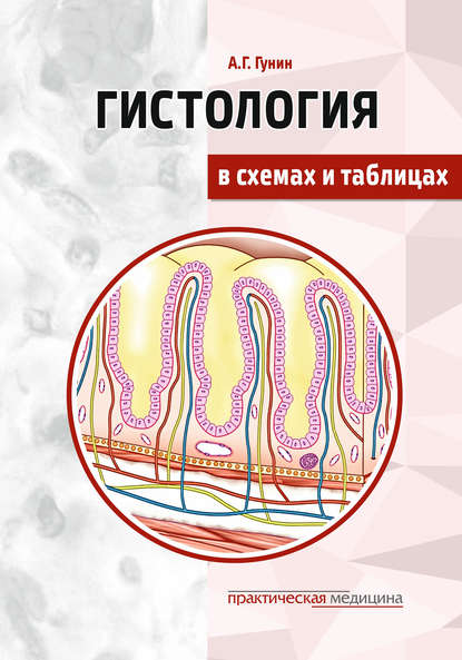 Гистология в схемах и таблицах - Андрей Гунин