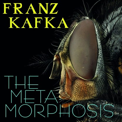 The Metamorphosis - Франц Кафка