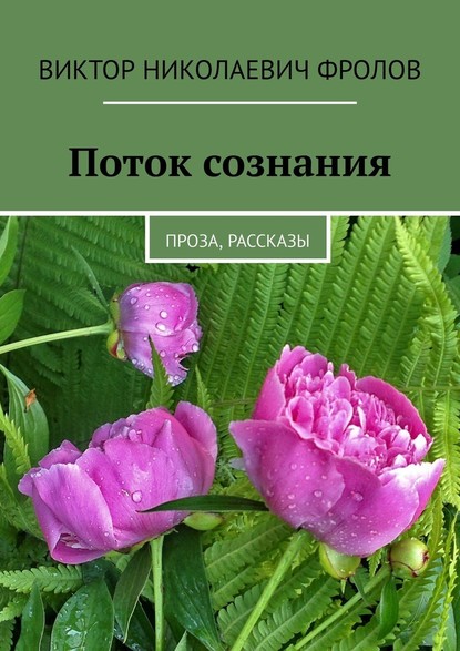 Поток сознания. Проза, рассказы - Виктор Николаевич Фролов