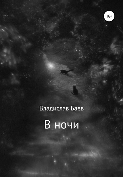 В ночи - Владислав Баев