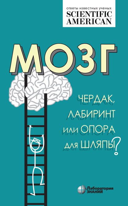 Мозг: чердак, лабиринт или опора для шляпы? — Группа авторов