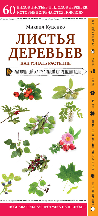 Листья деревьев. Как узнать растение - Михаил Куценко