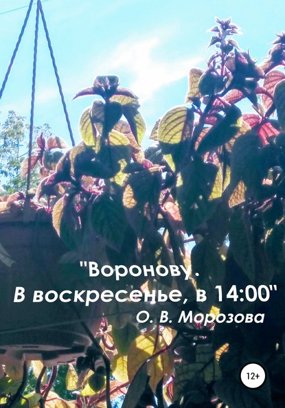 «Воронову. В воскресенье, в 14:00» — Ольга Владимировна Морозова