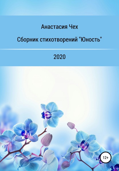 Сборник стихотворений «Юность» - Анастасия Ильинична Чех