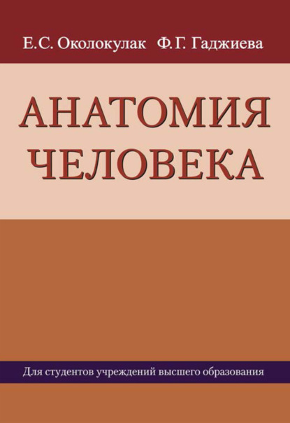 Анатомия человека - Е. С. Околокулак