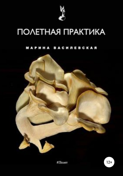 Полетная практика - Марина Василевская