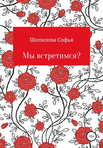 Мы встретимся? - Софья Юрьевна Шипилова