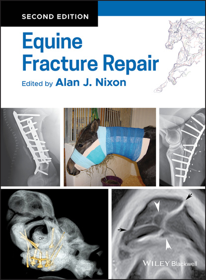 Equine Fracture Repair - Группа авторов