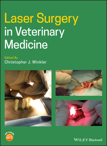 Laser Surgery in Veterinary Medicine - Группа авторов