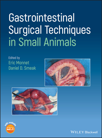 Gastrointestinal Surgical Techniques in Small Animals - Группа авторов