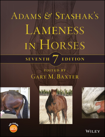 Adams and Stashak's Lameness in Horses - Группа авторов