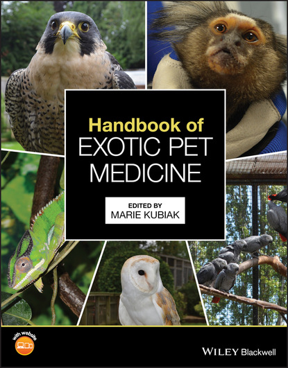 Handbook of Exotic Pet Medicine - Группа авторов