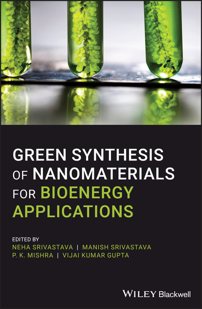 Green Synthesis of Nanomaterials for Bioenergy Applications - Группа авторов