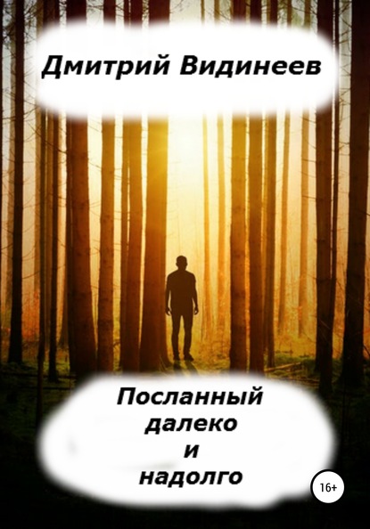 Посланный далеко и надолго — Дмитрий Александрович Видинеев