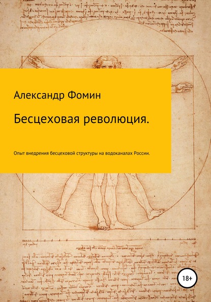 Бесцеховая революция. Опыт внедрения бесцеховой структуры управления на водоканалах России. - Александр Николаевич Фомин