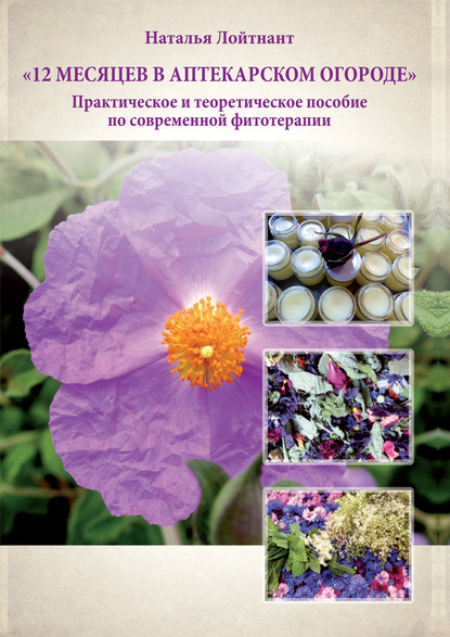 12 месяцев в аптекарском огороде - Н. А. Лойтнант