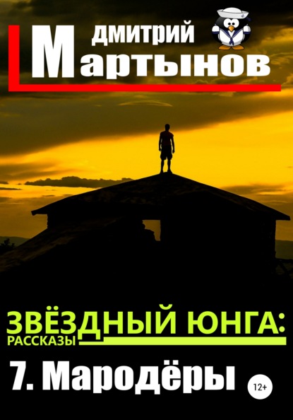 Звёздный юнга: 7. Мародёры - Дмитрий Мартынов