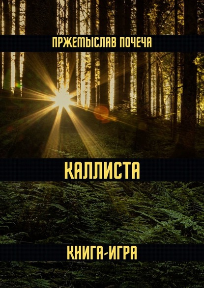 Каллиста. Книга-игра - Пржемыслав Почеча