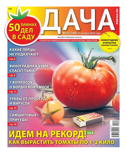 Дача Pressa.ru 22-2020 — Редакция газеты Дача Pressa.ru