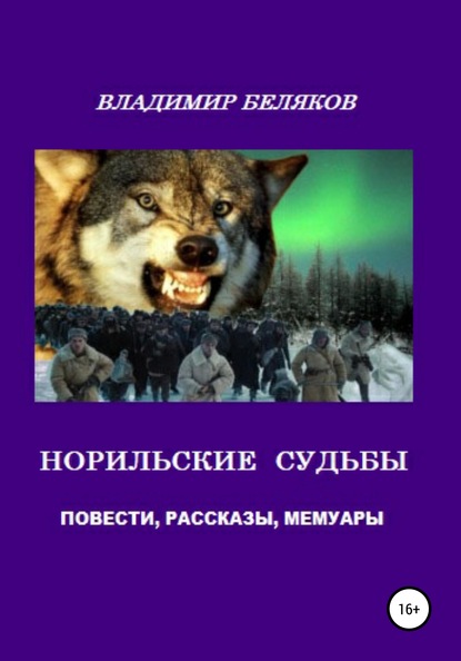 Норильские судьбы - Владимир Васильевич Беляков