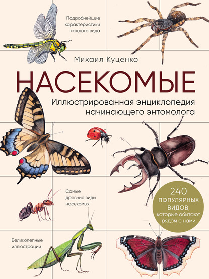 Насекомые. Иллюстрированная энциклопедия начинающего энтомолога (240 популярных видов, которые обитают рядом с нами) - Михаил Куценко