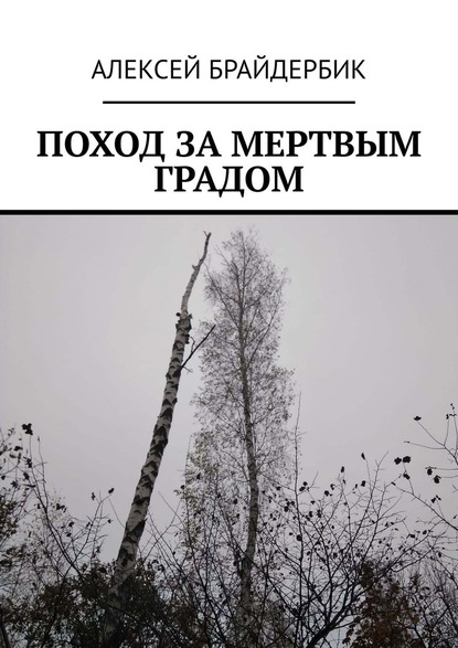 ПОХОД ЗА МЕРТВЫМ ГРАДОМ - Алексей Брайдербик