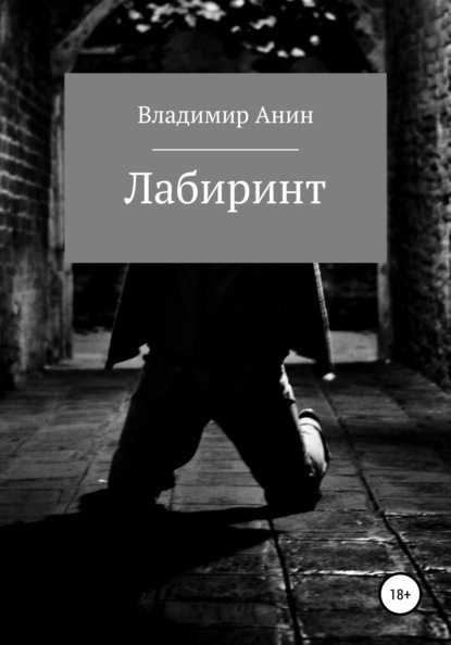 Лабиринт — Владимир Анин