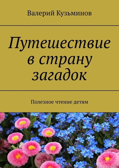 Путешествие в страну загадок. Полезное чтение детям — Валерий Кузьминов