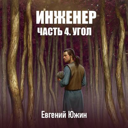 Инженер. Часть 4. Угол - Евгений Южин