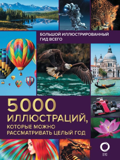 Большой иллюстрированный гид всего. 5000 иллюстраций, которые можно рассматривать целый год - А. А. Спектор